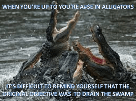 Alligators3-2