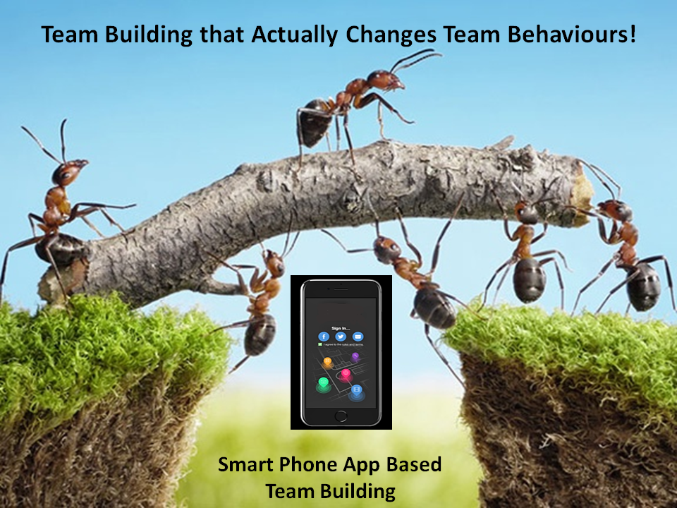 SS Ants & App PP2